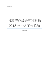 县政府办综合五科科长2018年个人工作总结市政府信息科科长