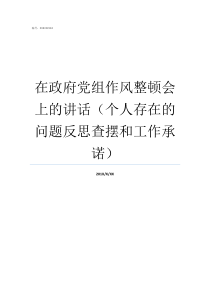 在政府党组作风整顿会上的讲话个人存在的问题反思查摆和工作承诺