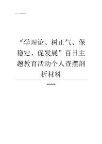 学理论树正气保稳定促发展百日主题教育活动个人查摆剖析材料如何树正气