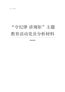 守纪律nbsp讲规矩主题教育活动党员分析材料讲规矩守纪律