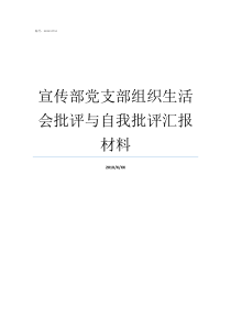 宣传部党支部组织生活会批评与自我批评汇报材料党支部组织生活记录