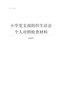 小学党支部组织生活会个人对照检查材料