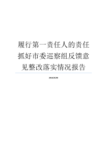 履行第一责任人的责任抓好市委巡察组反馈意见整改落实情况报告主体责任落实情况切实履行第一责任人职责