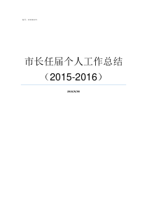 市长任届个人工作总结20152016工作总结