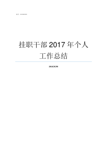 挂职干部2017年个人工作总结