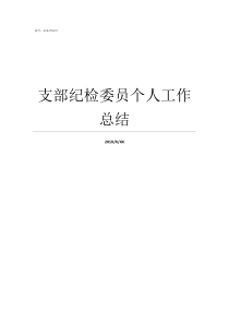 支部纪检委员个人工作总结如何做好支部纪检委员