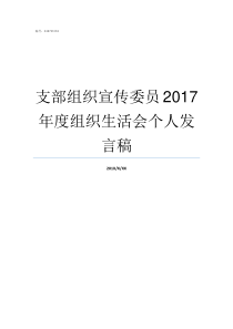 支部组织宣传委员2017年度组织生活会个人发言稿支部宣传委员工作