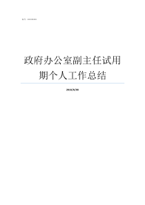 政府办公室副主任试用期个人工作总结市政府办公室副主任什么级别