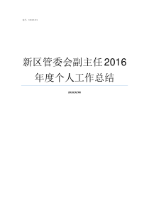 新区管委会副主任2016年度个人工作总结