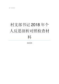 村支部书记2018年个人反思剖析对照检查材料2019年村支部书记七一