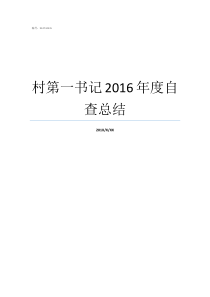 村第一书记2016年度自查总结