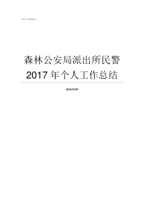 森林公安局派出所民警2017年个人工作总结森林公安局