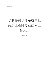 水利勘测设计系统申报高级工程师专业技术工作总结水利