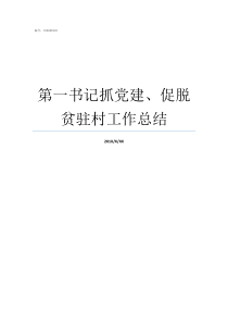 第一书记抓党建促脱贫驻村工作总结书记党建项目