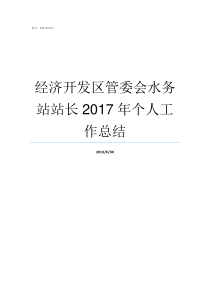 经济开发区管委会水务站站长2017年个人工作总结