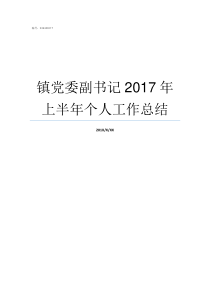 镇党委副书记2017年上半年个人工作总结