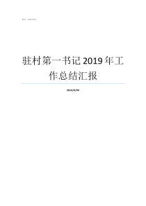 驻村第一书记2019年工作总结汇报