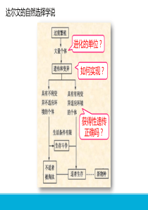 现代生物进化理论的主要内容ppt