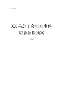 XX县总工会突发事件应急救援预案XX不X成语