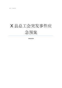 X县总工会突发事件应急预案县X是什么