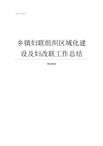 乡镇妇联组织区域化建设及妇改联工作总结妇联区域化建设