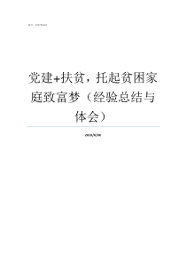 党建扶贫托起贫困家庭致富梦经验总结与体会村级党建引领脱贫工作汇报