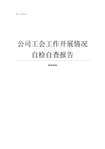 公司工会工作开展情况自检自查报告工会工作情况汇报