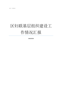 区妇联基层组织建设工作情况汇报妇联基层组织建设行动