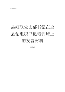 县妇联党支部书记在全县党组织书记培训班上的发言材料县党支部书记什么职位