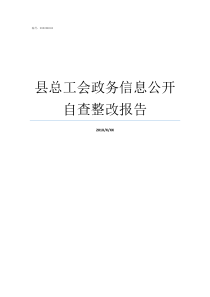 县总工会政务信息公开自查整改报告