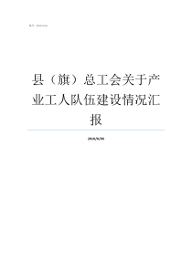 县旗总工会关于产业工人队伍建设情况汇报基层队伍建设情况汇报