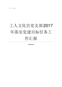 工人文化宫党支部2017年落实党建目标任务工作汇报