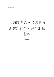 市妇联党总支书记记向巡察组的个人综合汇报材料