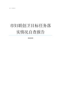 市妇联创卫目标任务落实情况自查报告