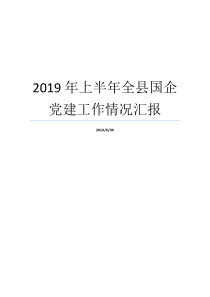 2019年上半年全县国企党建工作情况汇报