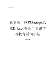 党支部感恩nbsp忠诚nbsp责任专题学习教育活动小结感恩就是忠诚