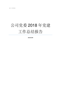 公司党委2018年党建工作总结报告2018年支部委员会记录