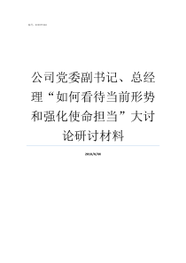 公司党委副书记总经理如何看待当前形势和强化使命担当大讨论研讨材料