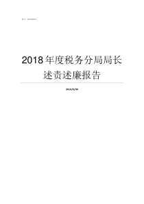 2018年度税务分局局长述责述廉报告2018一般纳税人的标准