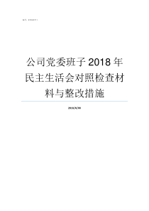 公司党委班子2018年民主生活会对照检查材料与整改措施对党委班子的意见和建议2018