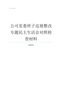 公司党委班子巡视整改专题民主生活会对照检查材料党委班子问题整改清单