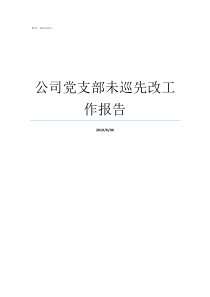 公司党支部未巡先改工作报告巡察党支部情况汇报