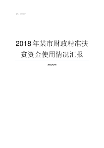 2018年某市财政精准扶贫资金使用情况汇报