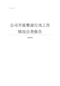 公司开展整肃行风工作情况自查报告