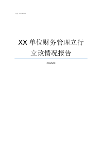 XX单位财务管理立行立改情况报告XX不立