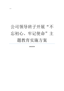 公司领导班子开展不忘初心牢记使命主题教育实施方案领导班子征求意见