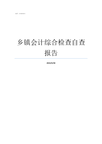 乡镇会计综合检查自查报告