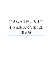 厂党总支党建人才工作及企业文化等情况汇报介绍