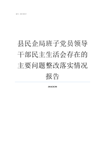 县民企局班子党员领导干部民主生活会存在的主要问题整改落实情况报告