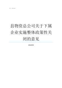 县物资总公司关于下属企业实施整体政策性关闭的意见国家级贫困县